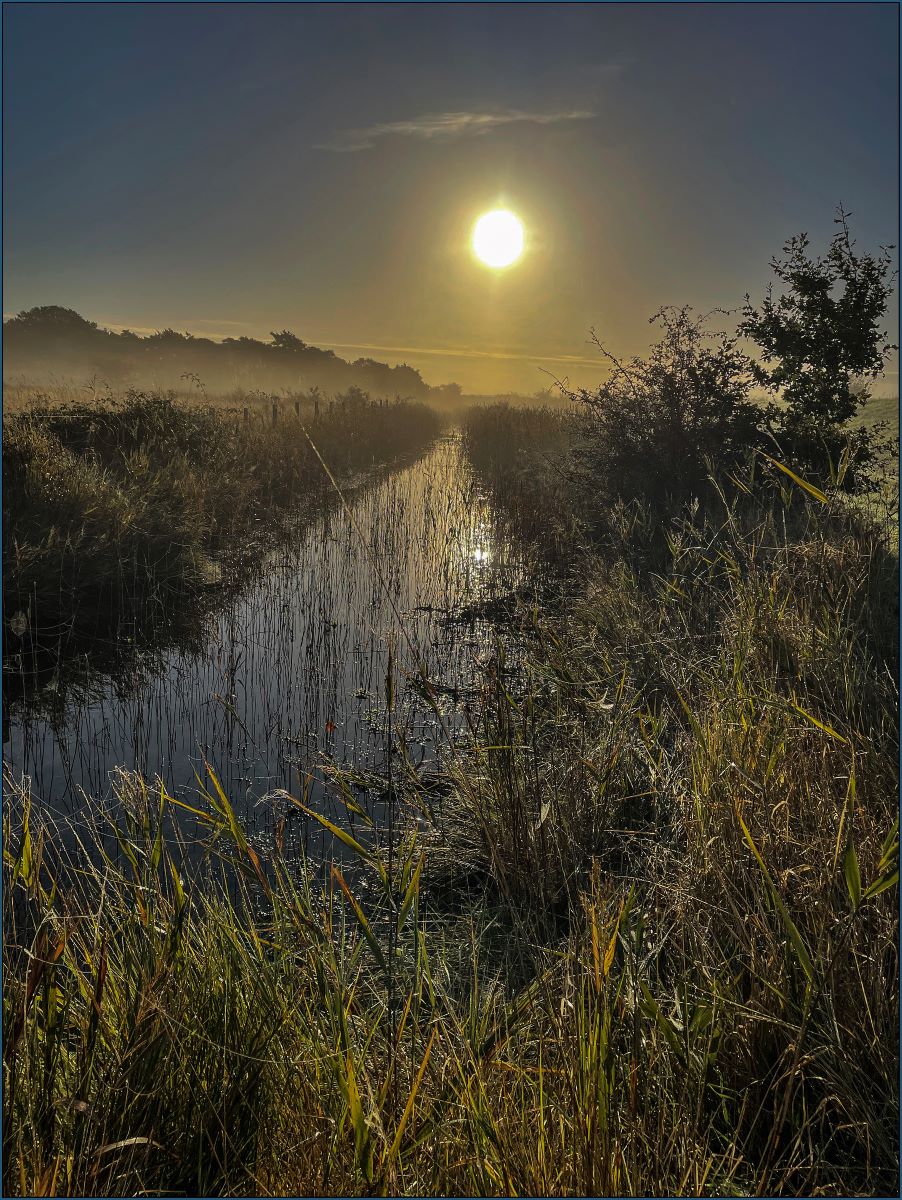 Earley One Morning - Ian Parker